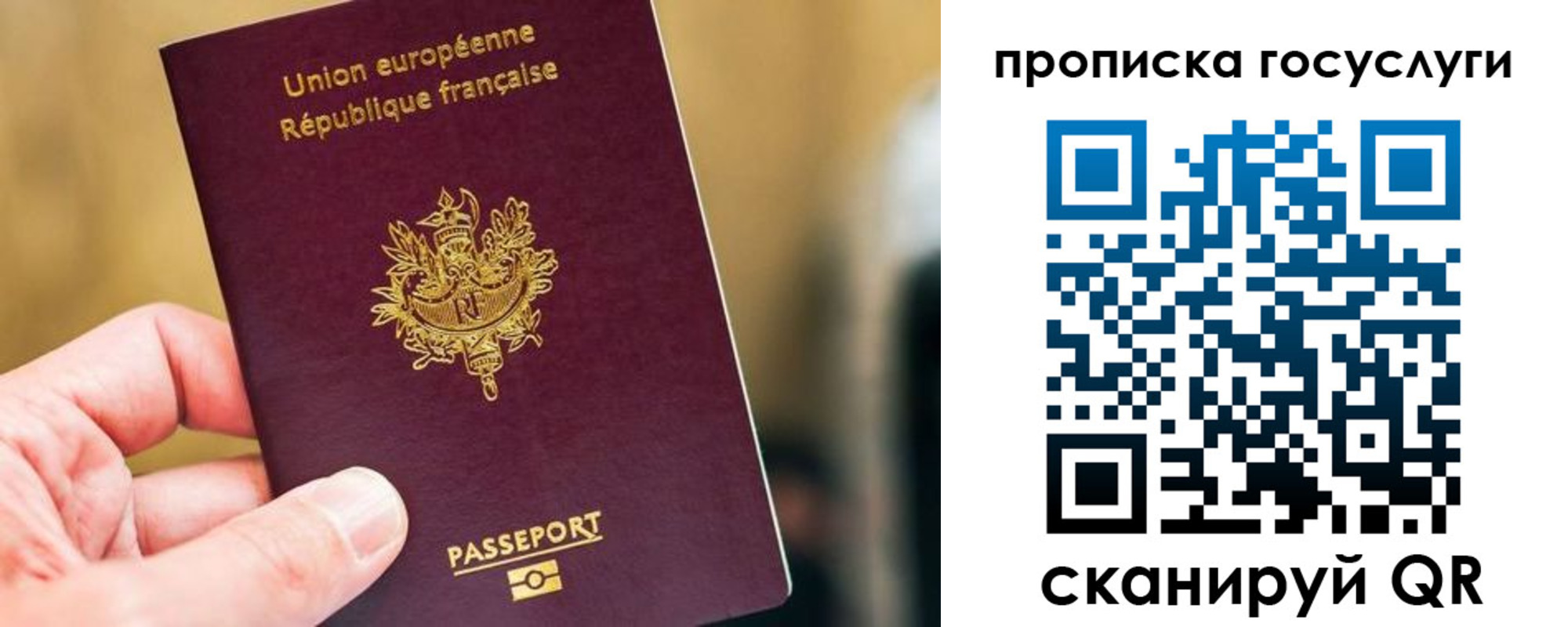 временная регистрация поиск в Каргате
